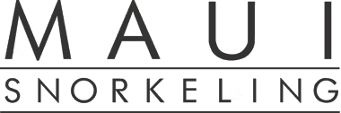 Maui Snorkeling logo
