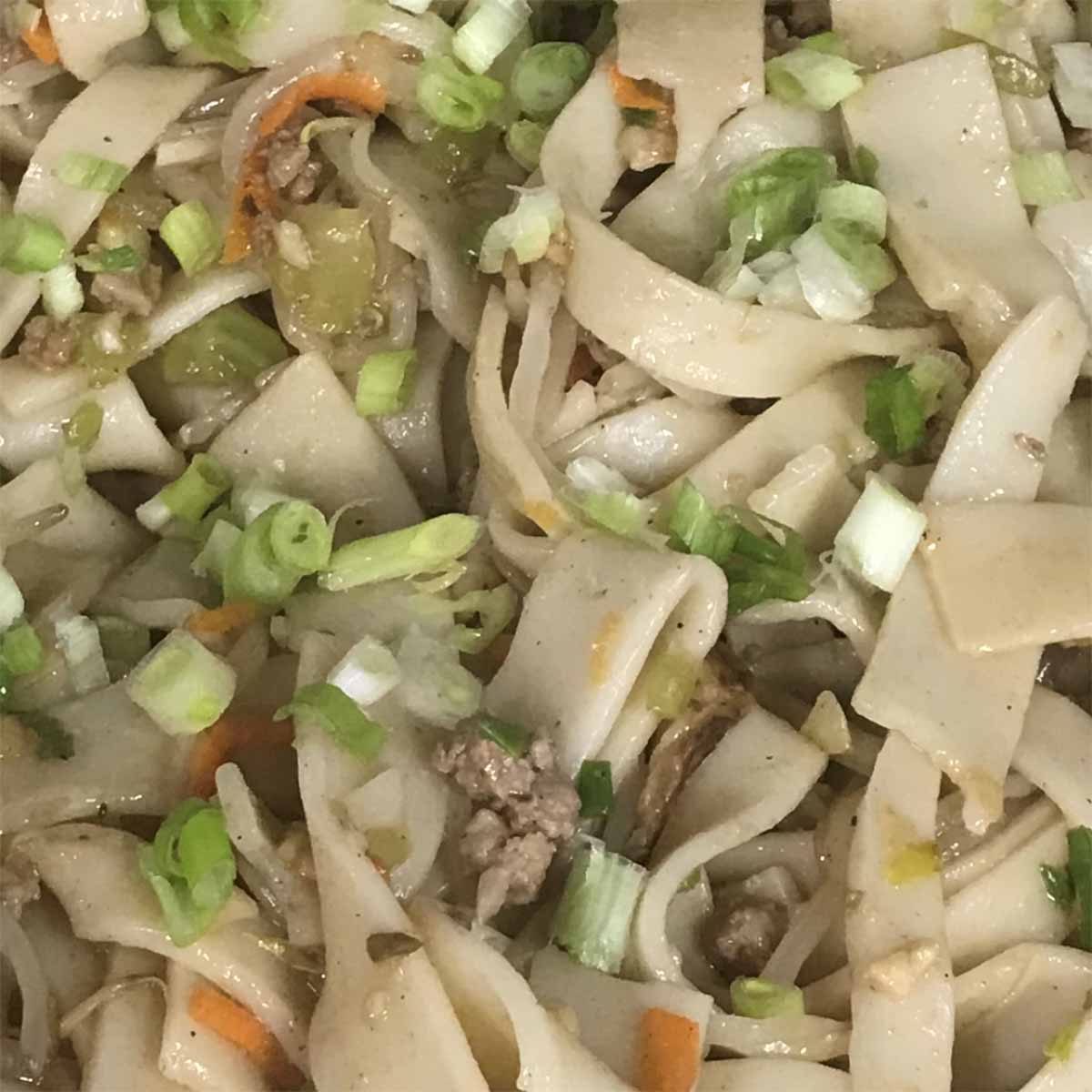 Chow Fun Noodles showing carrot, onions, and celery